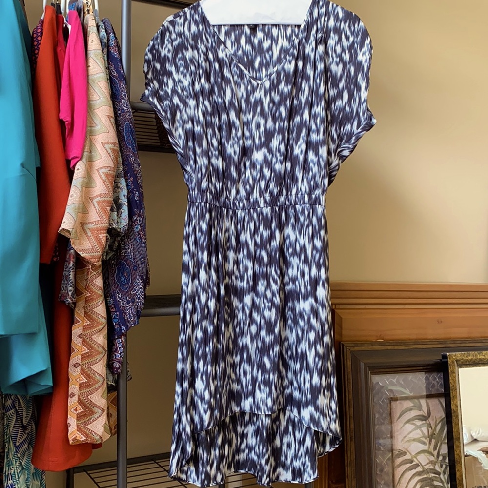 Express Animal Print Dress